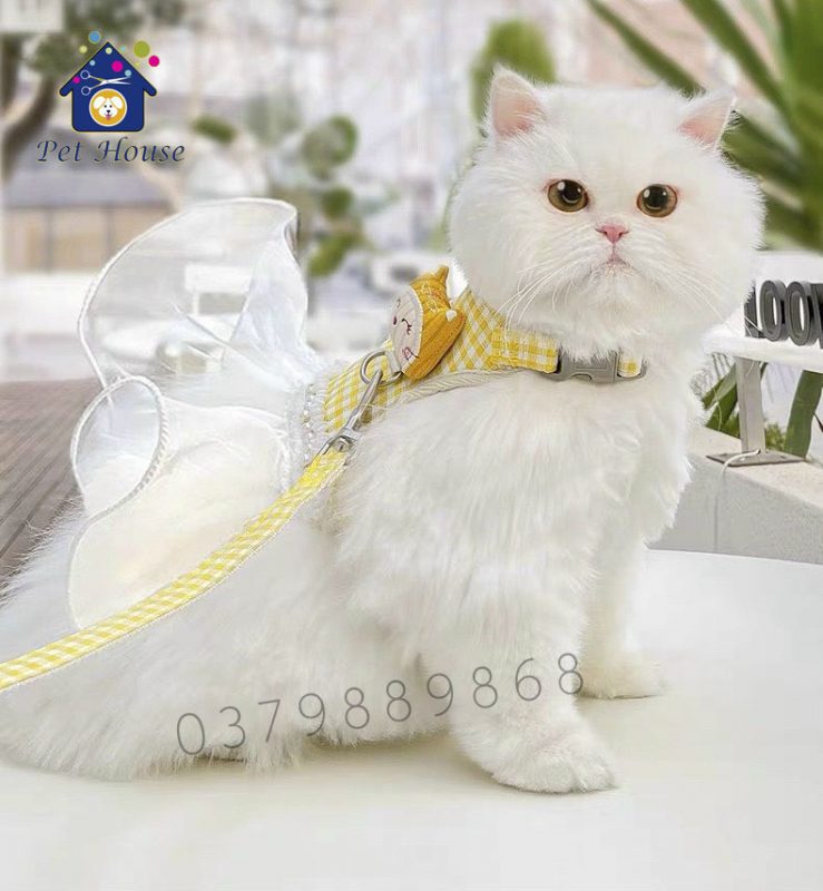 Yếm đeo cho mèo kèm dây dắt