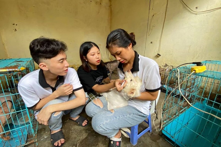 Chó ta cũng cần được yêu thương