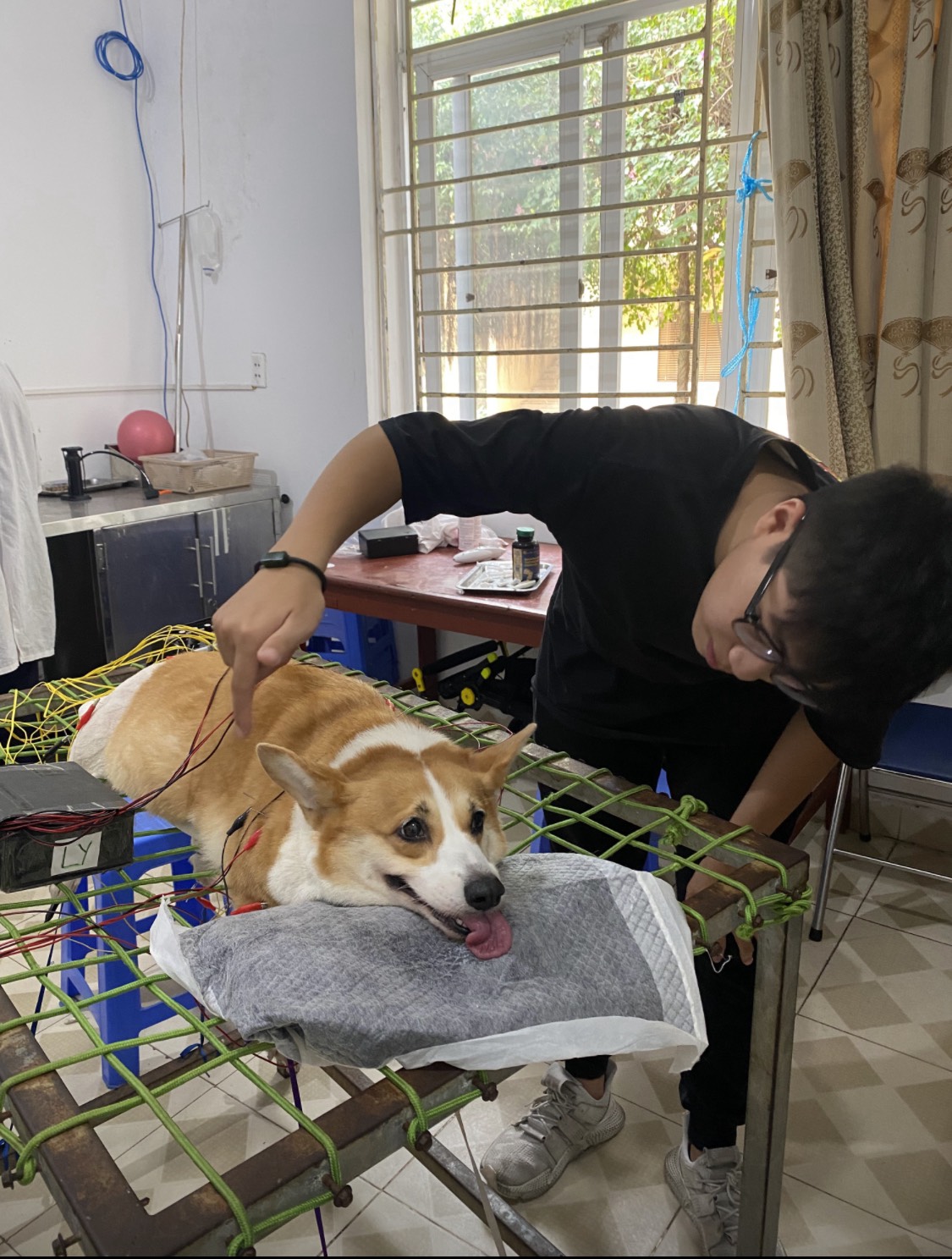 Châm cứu là phương pháo chữa bệnh hiệu quả