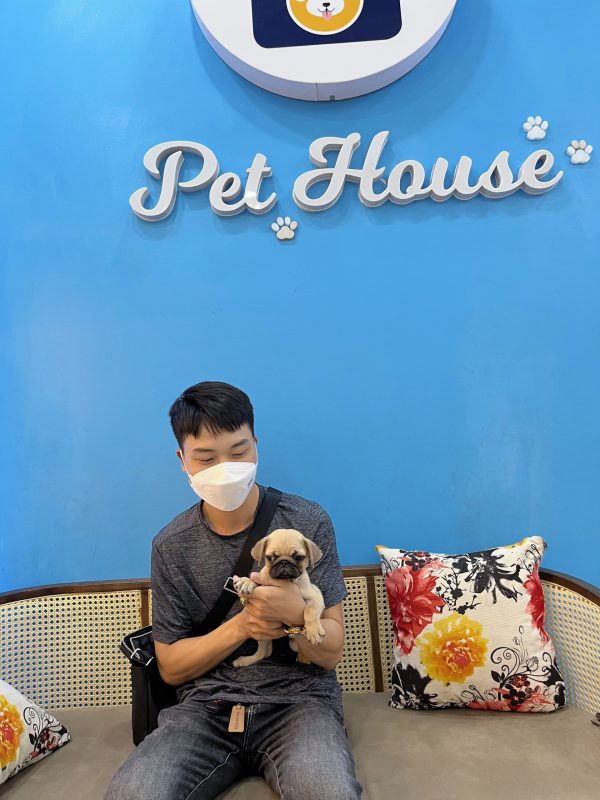 Các quý khách hàng luôn chọn Pet House là điểm đến chân ái