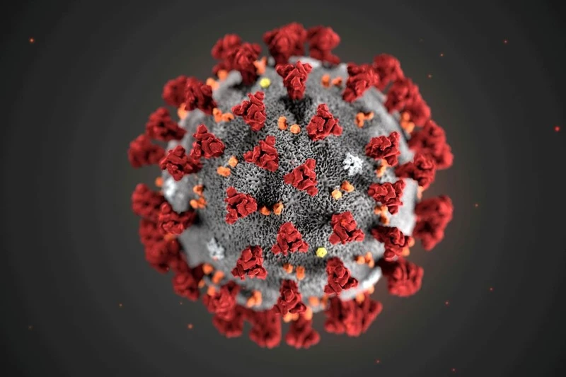 Hình ảnh minh họa cho Virus